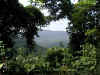 View of the Smokies.jpg (78683 bytes)