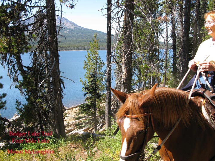 Horseback Trail Riding And Camping In Oregon Mobile